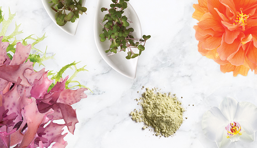 Eminence Organics Year In Review: 2017 A Year Of Milestones